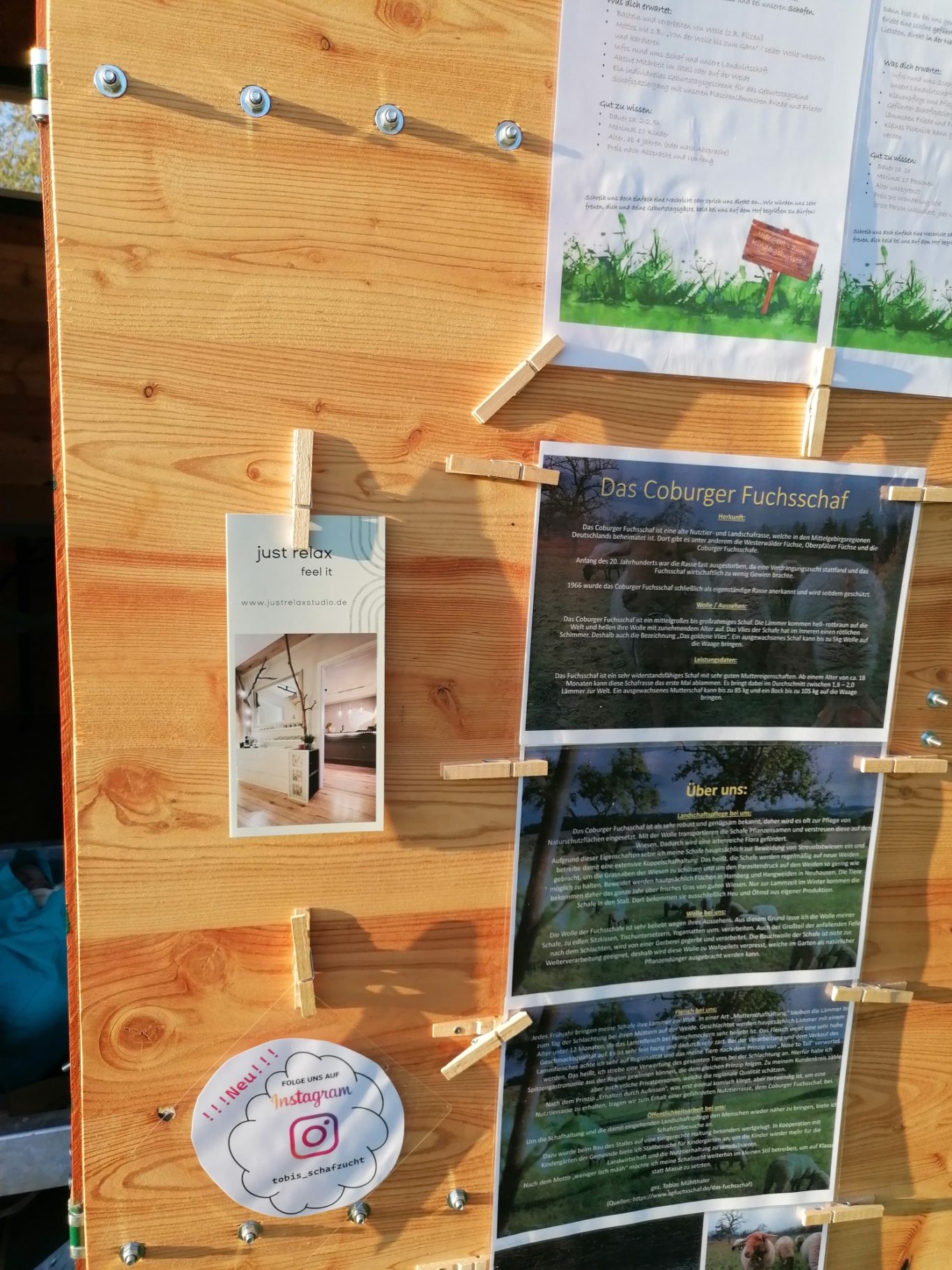 Infos rund um unsere Schafe